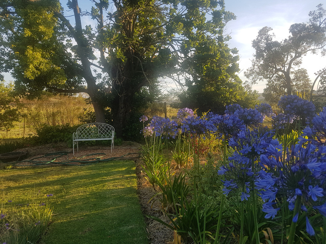 Lalani Bed & Breakfast主图