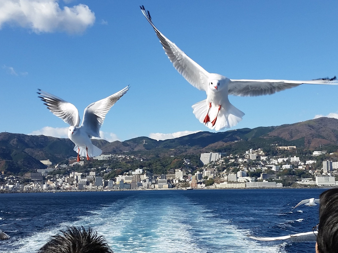 Hatsushima Ferry, Fujikyu Marine Resort-热海市必去景点