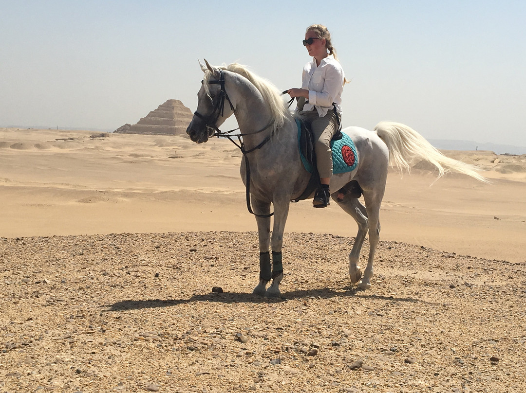 Kfb Stables, Abu Sir Pyramids