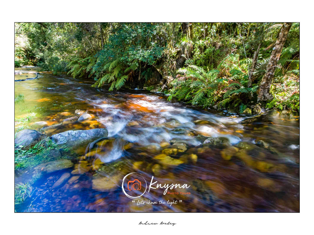 Knysna Photo Tours-克尼斯纳必去景点