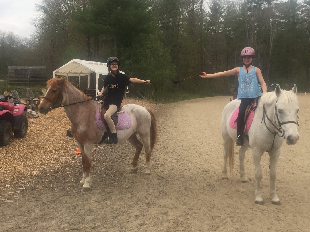 Hidden Hollow Farm-Pembroke必去景点