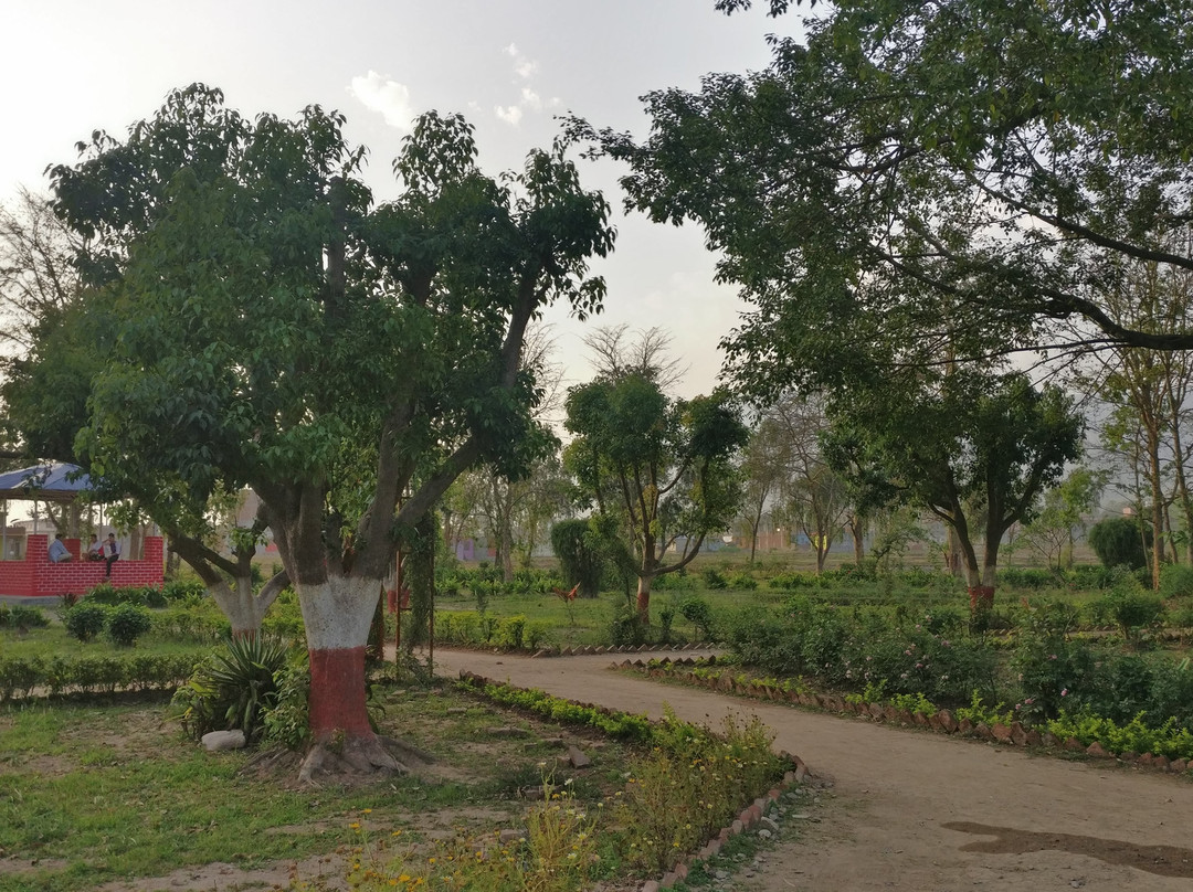 Bulbule Lake-Birendranagar必去景点