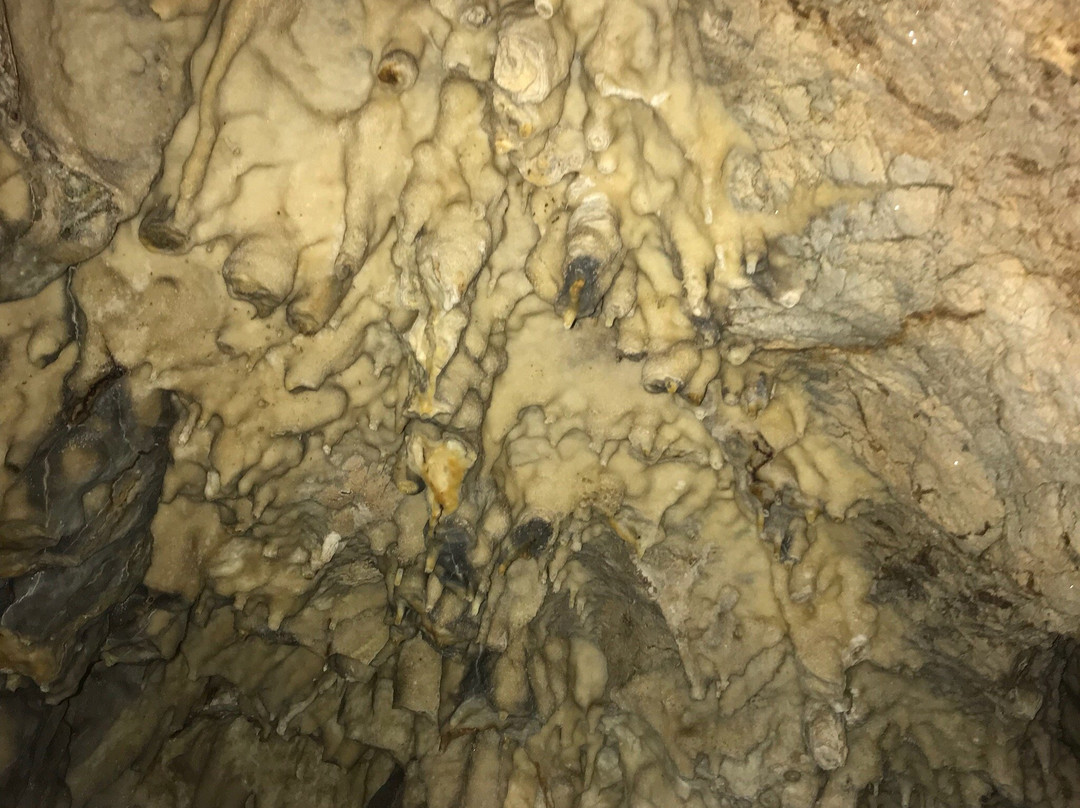 Grotta del Tono景点图片