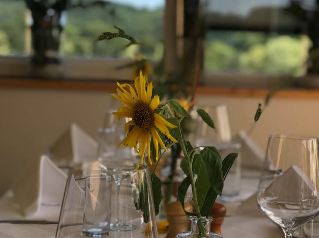 Pöllauberg餐馆和美食-Grune Au Restaurant
