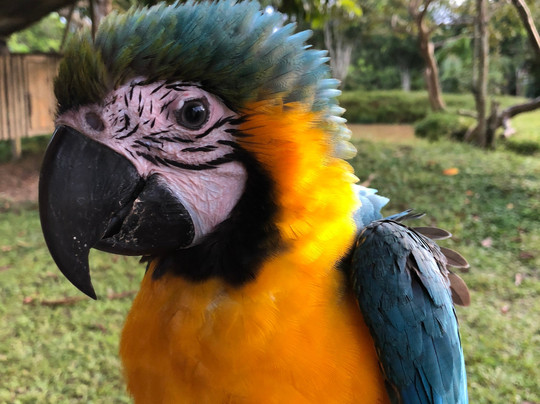 Colombia Remote Adventures-莱蒂西亚必去景点