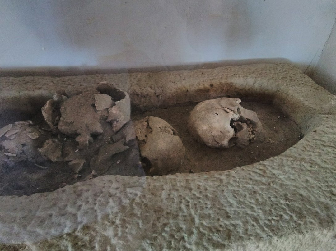 Museo de Sitio Narihuala-Piura必去景点