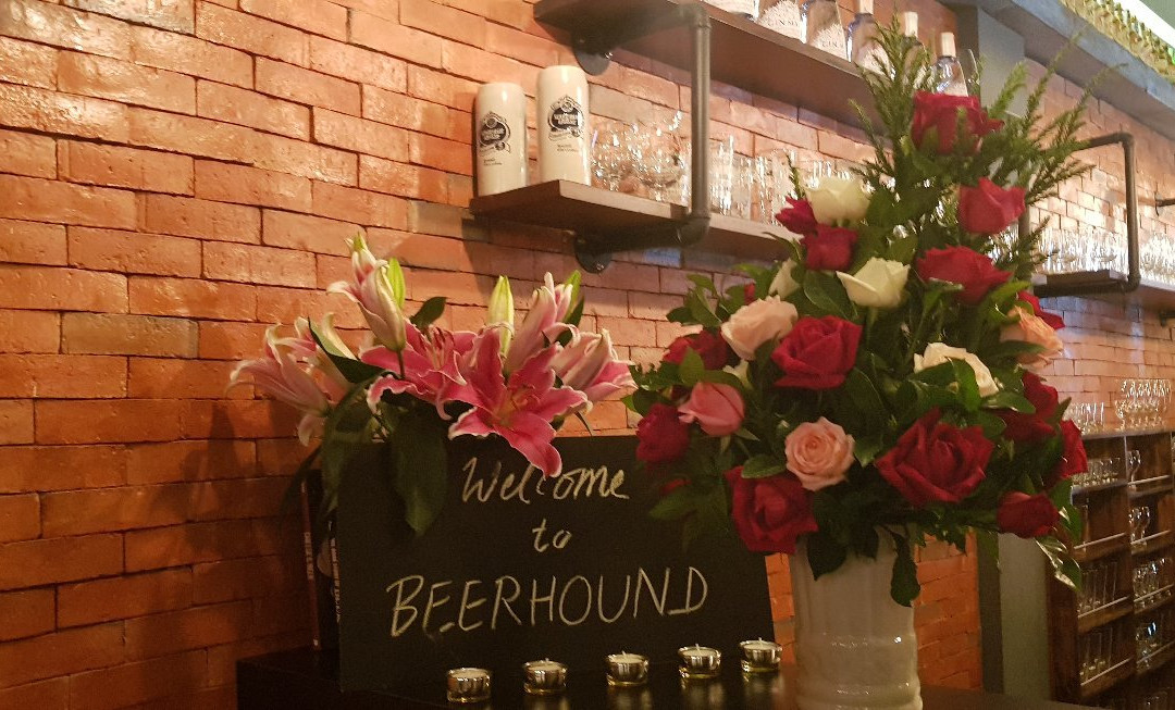 Beerhound-讪柿必去景点