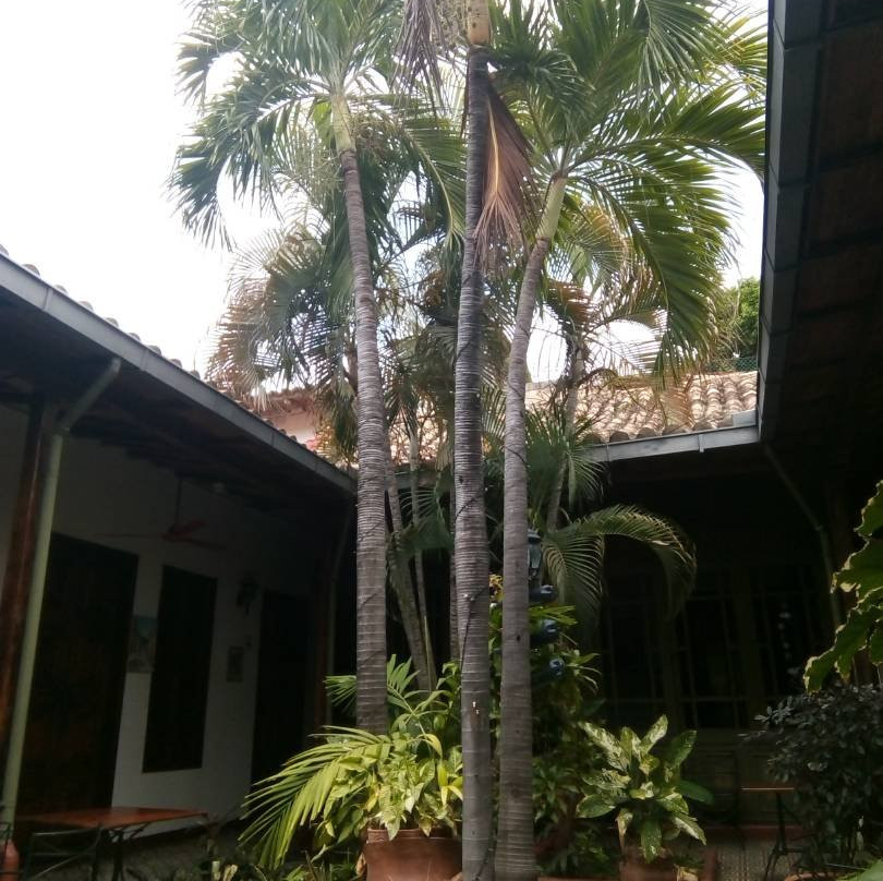 Posada San Francisco主图