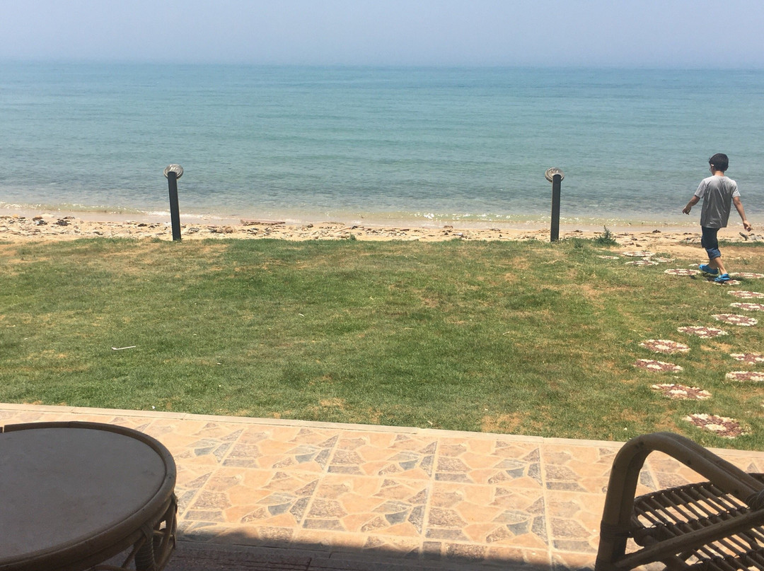 Palm Beach Safari Egypt主图