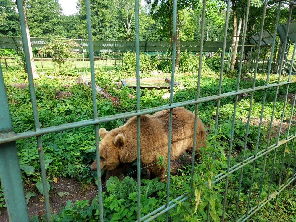 Elistvere Animal Park-Tabivere必去景点