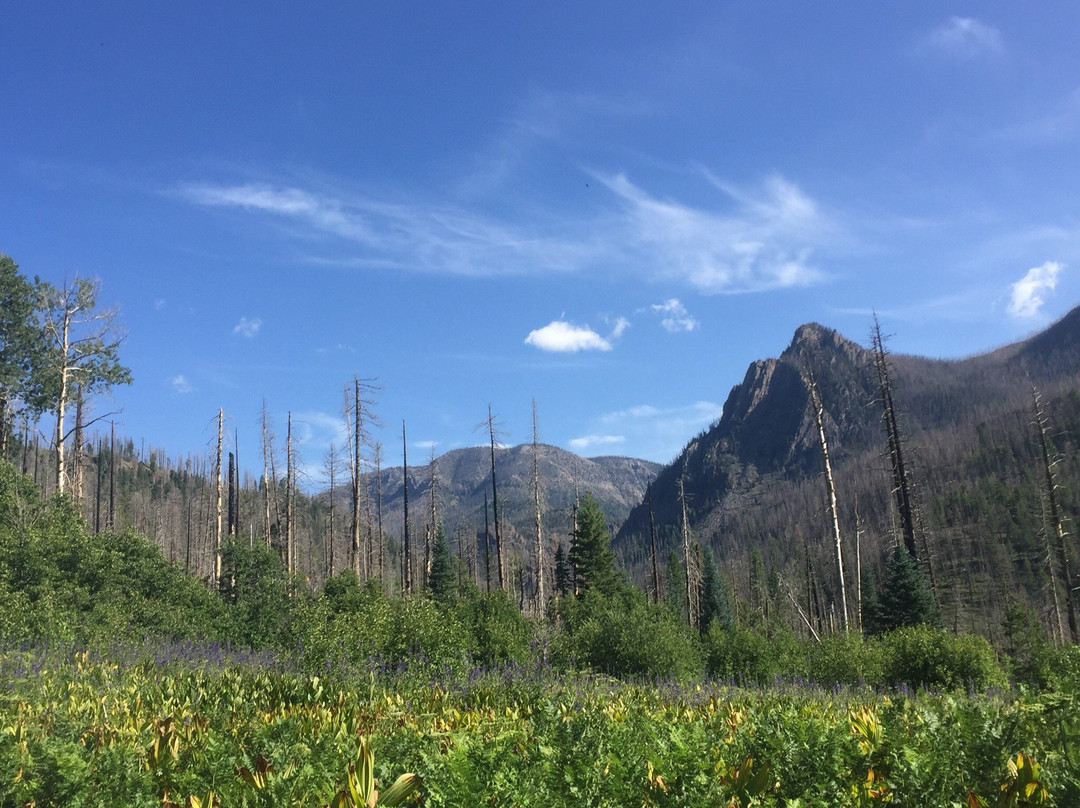 Rainbow Hot Springs-帕戈萨斯普林斯必去景点