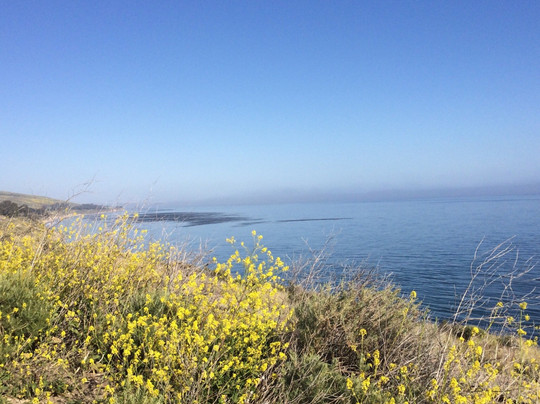 Arroyo Hondo Vista Point-戈利塔必去景点