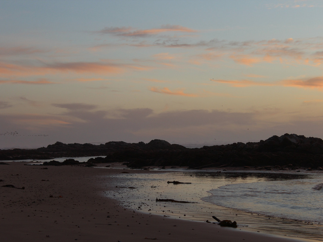 Voetbaai Chalets主图