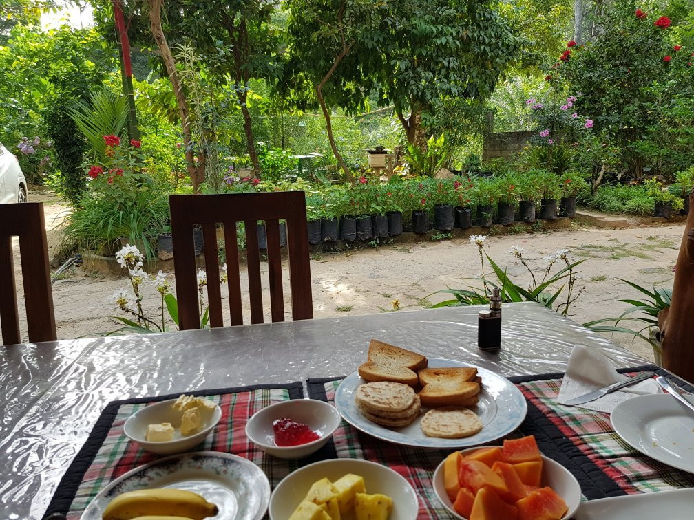 Honey Bee Garden-埃勒必去景点