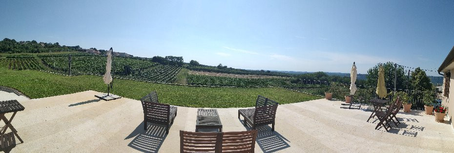 Arman Marijan Winery-Vizinada必去景点