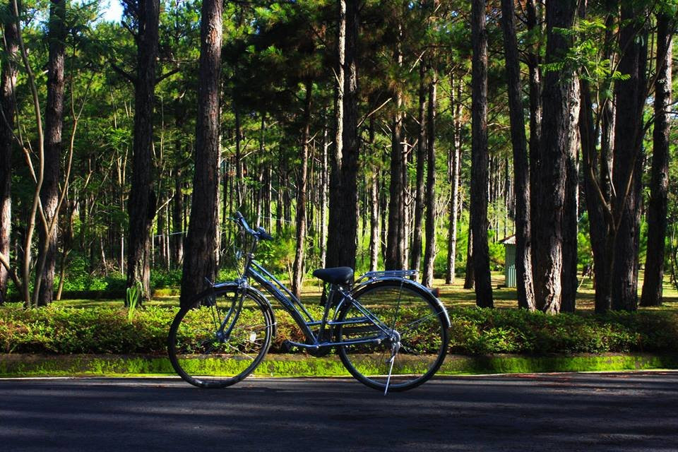 Sam Tuyen Lam Resort主图