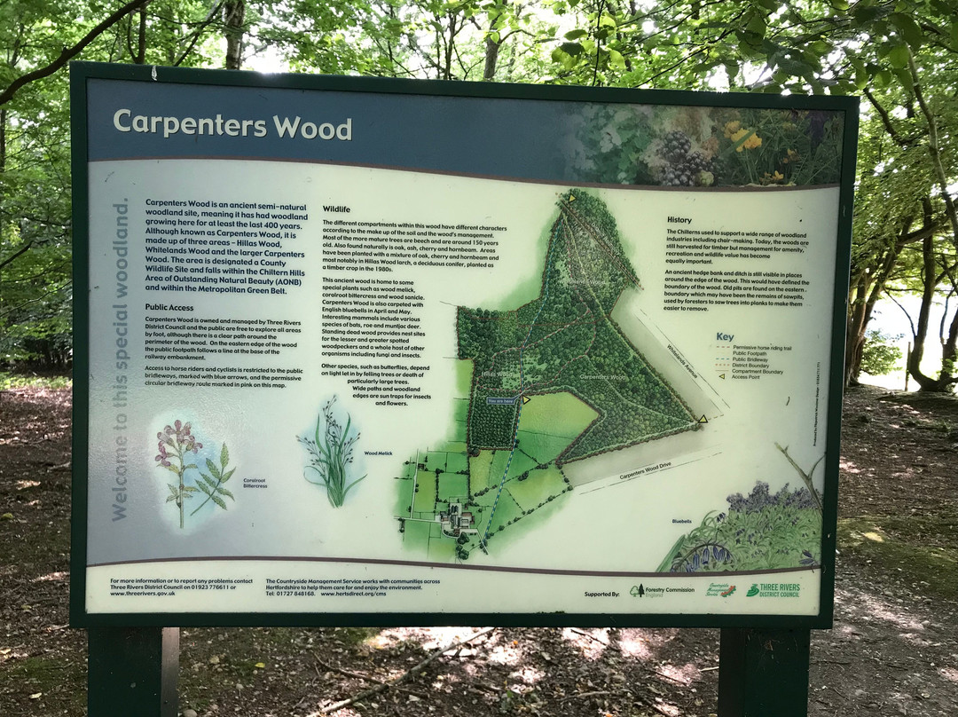 Carpenters Wood景点图片