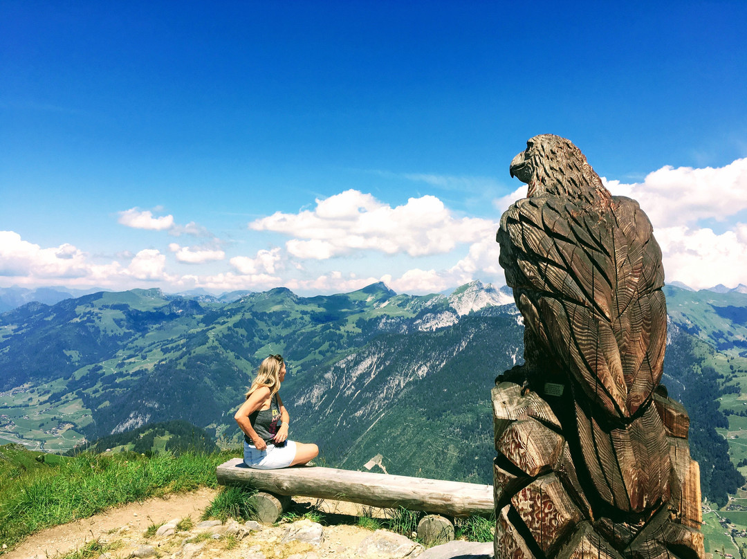 Zweisimmen - Rinderberg - Alp Wistätt - Lenk景点图片