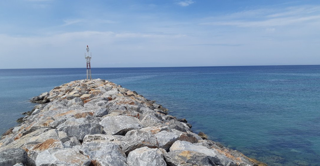 Pansion Alexandros主图