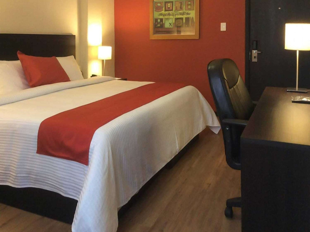 Comfort Inn San Luis Potosi主图