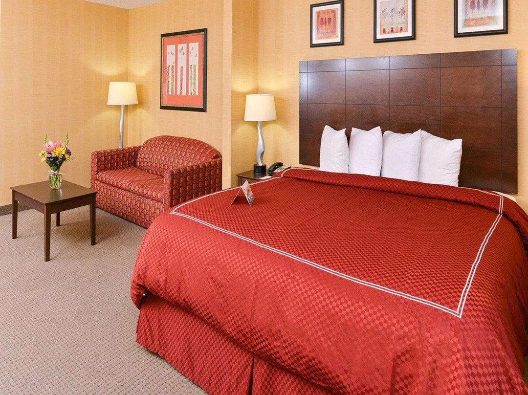 Quality Suites主图