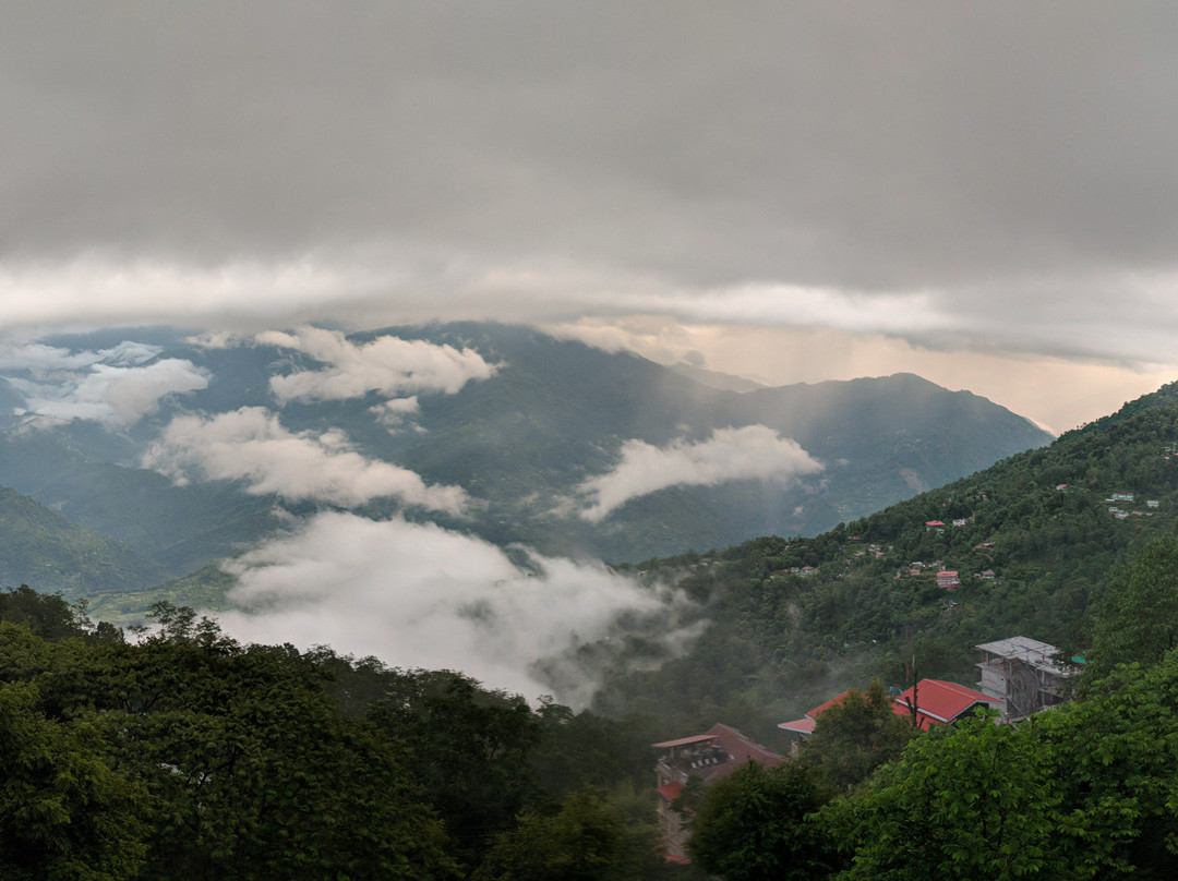 The Hidden House, Fairview - Pelling主图