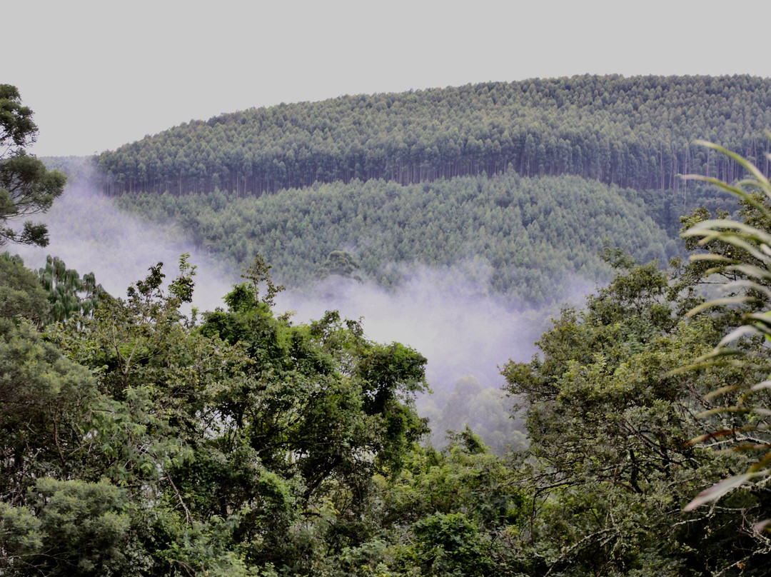 Granny Dot's Country Spot主图