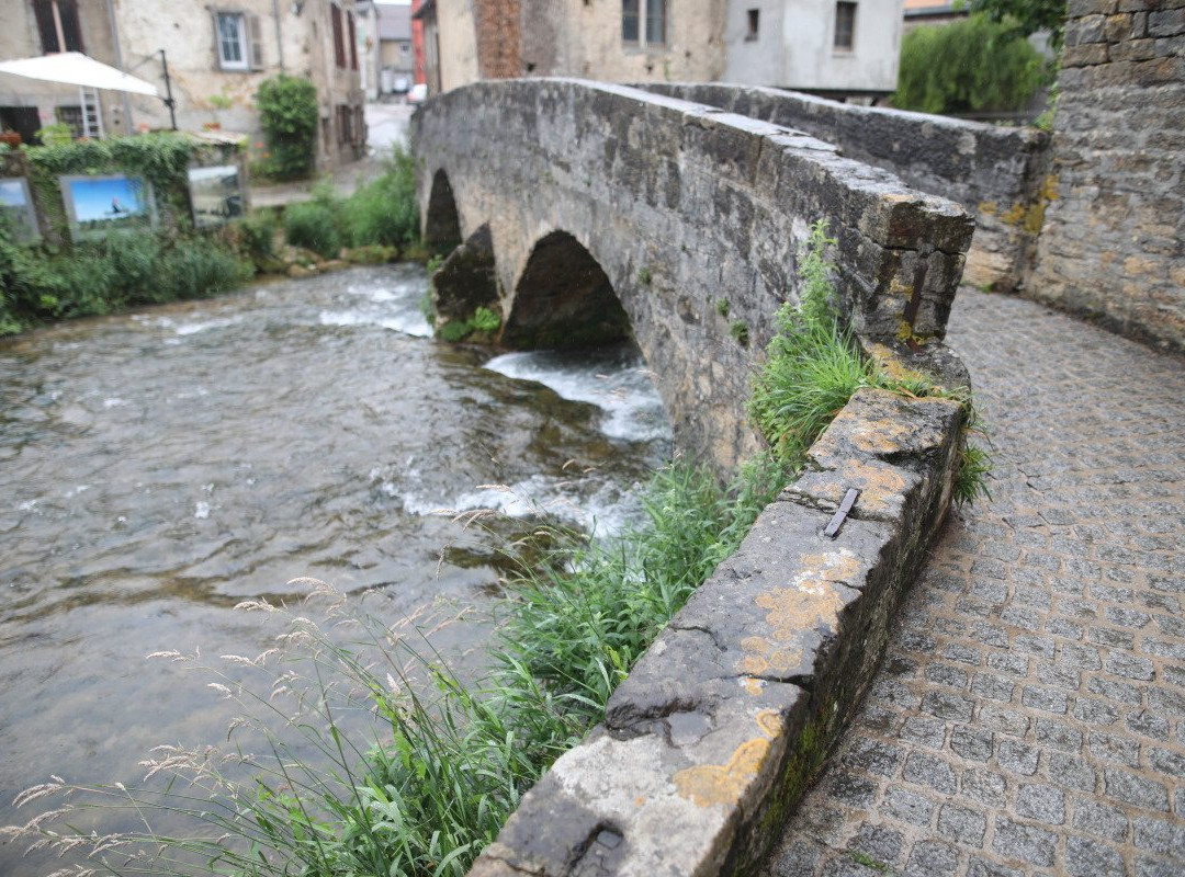 Pont des Capucins-Arbois必去景点