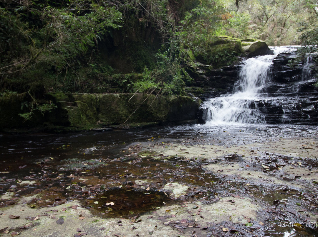 Trilha das Sete Quedas-Brusque必去景点
