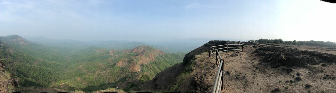 Hornbill Resort Amba主图