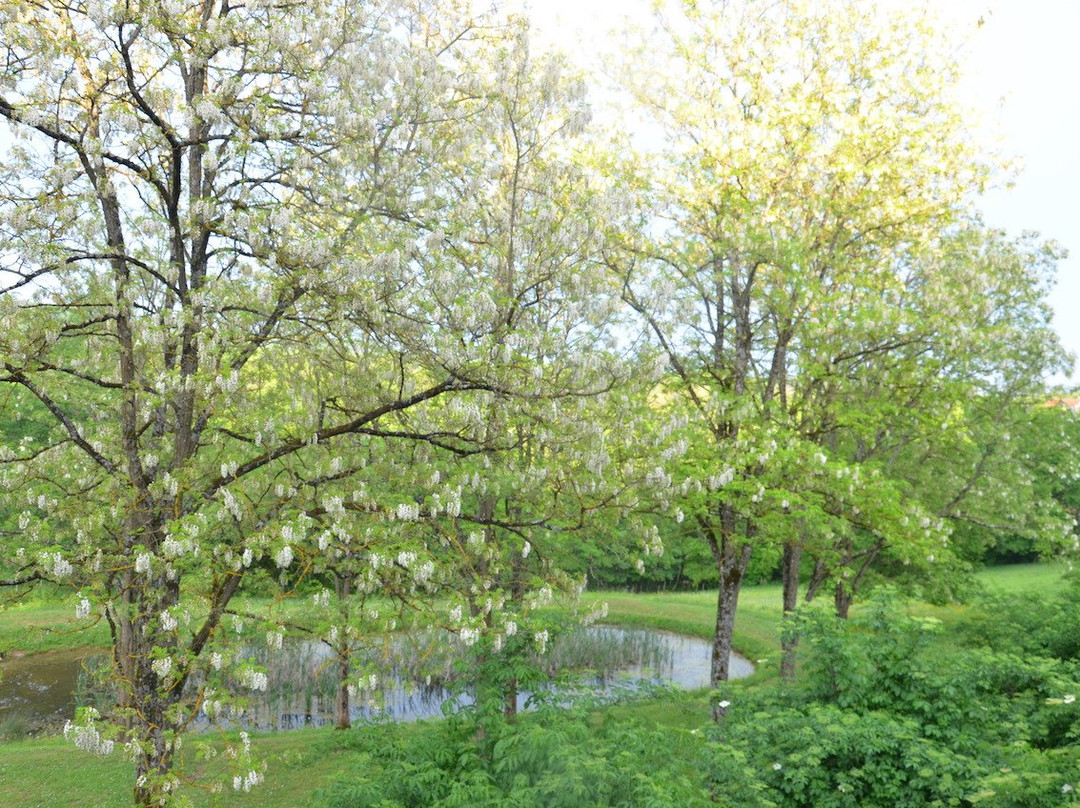 La Guérinière主图