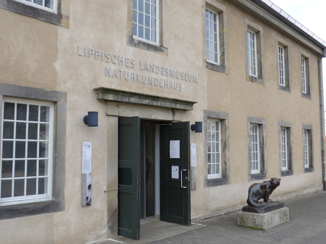 Lippisches Landesmuseum Detmold景点图片