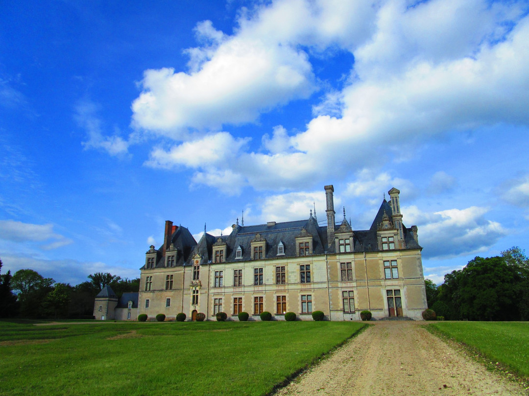 Parc et Château de Beauregard景点图片