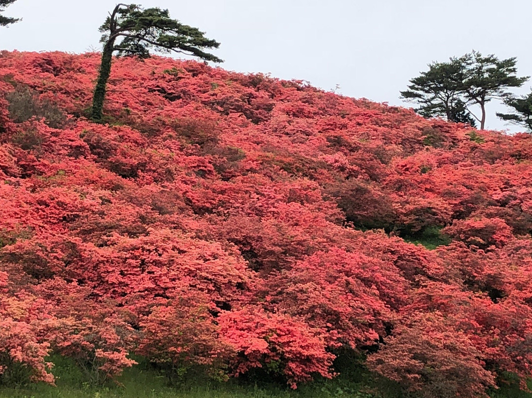 Mount Tatsugane-南三陆町必去景点