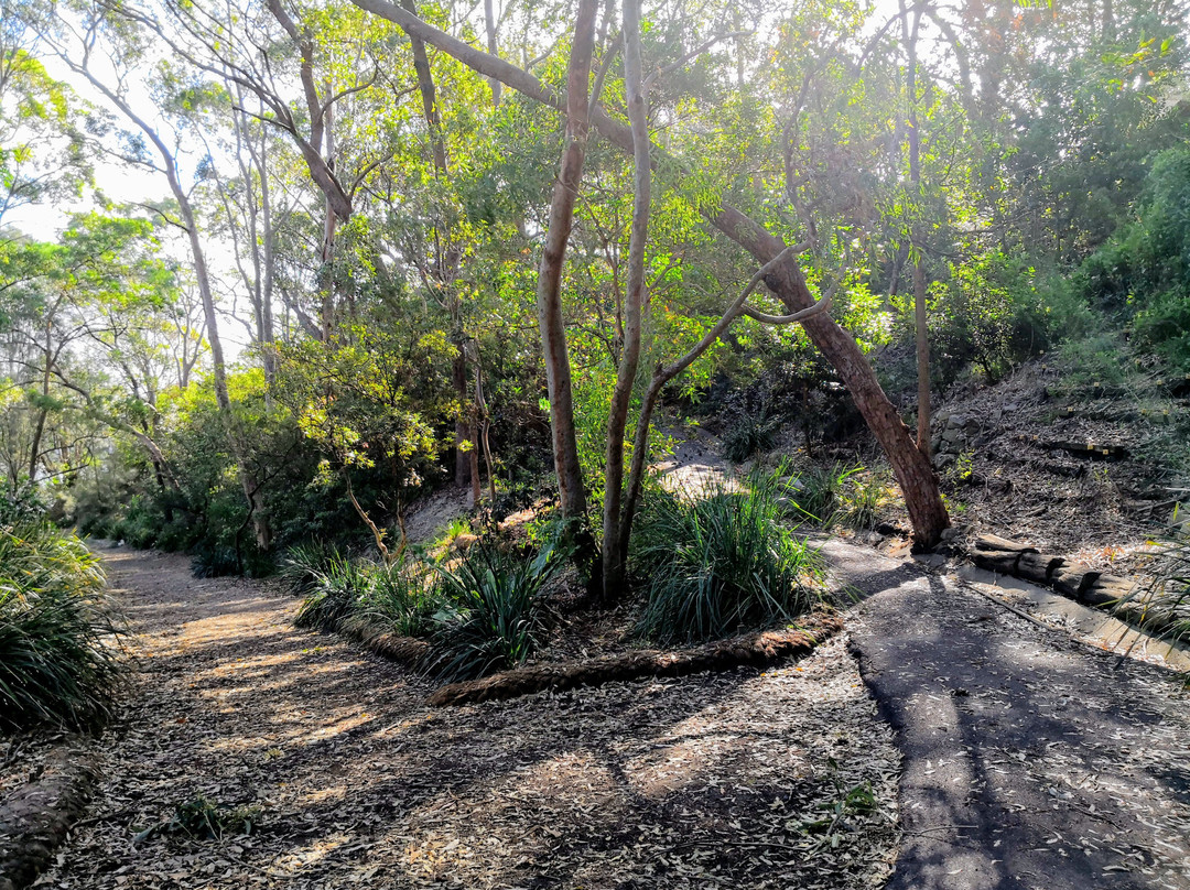 Sawmillers Reserve景点图片