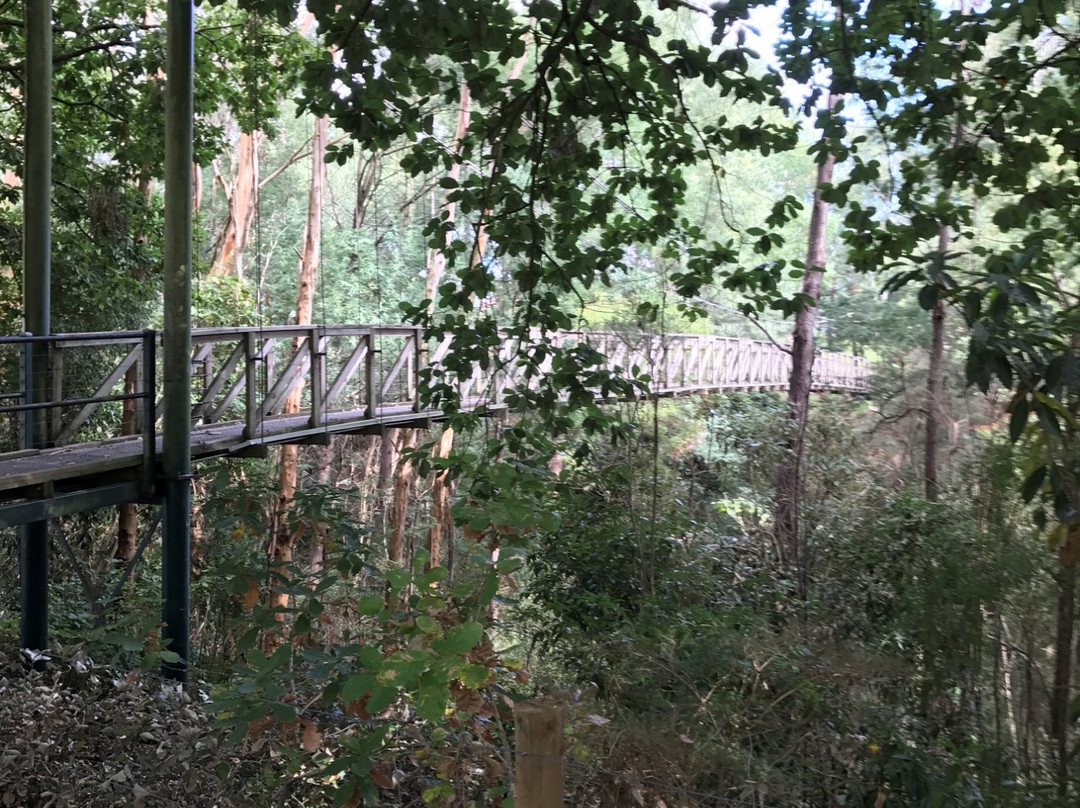 Loch Suspension Bridge-Loch必去景点