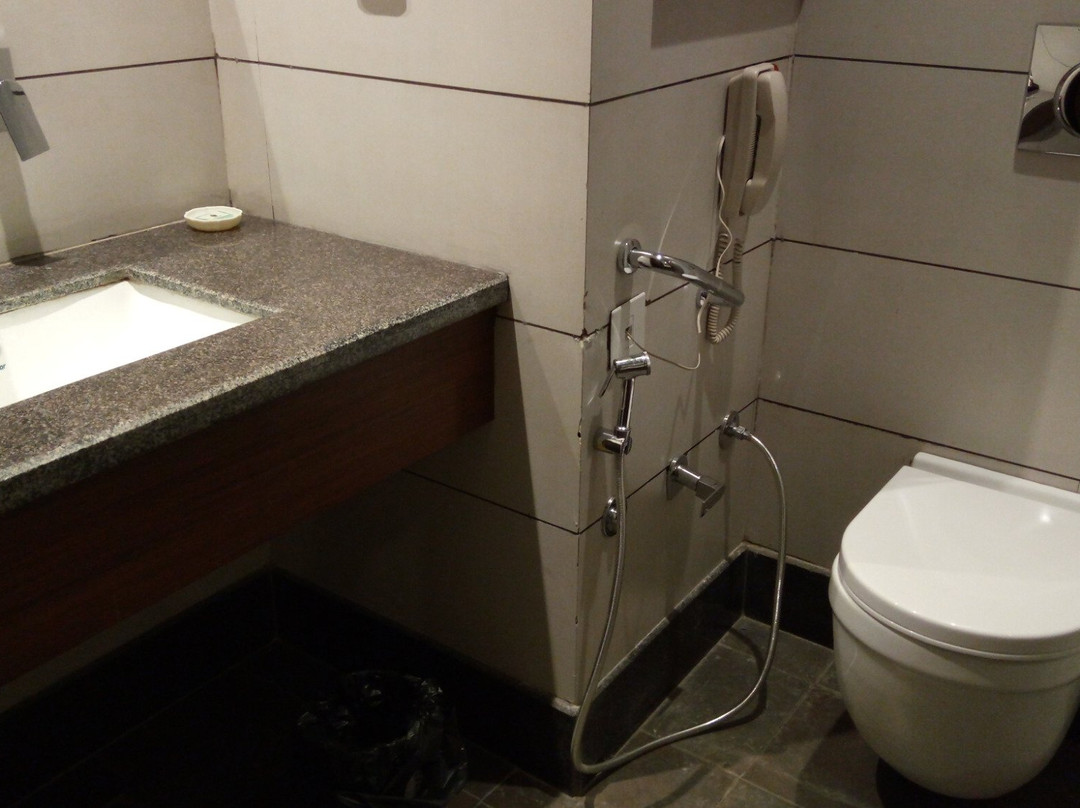 Riyasat Resort主图