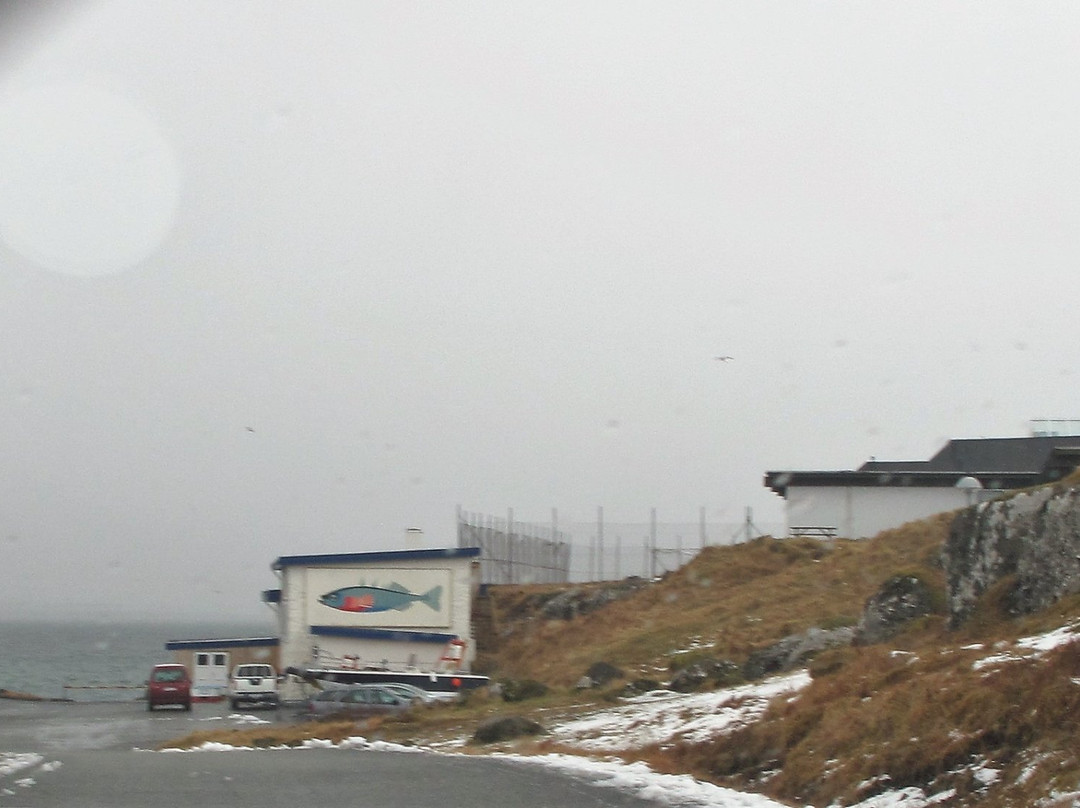 The Faroe Islands Aquarium景点图片