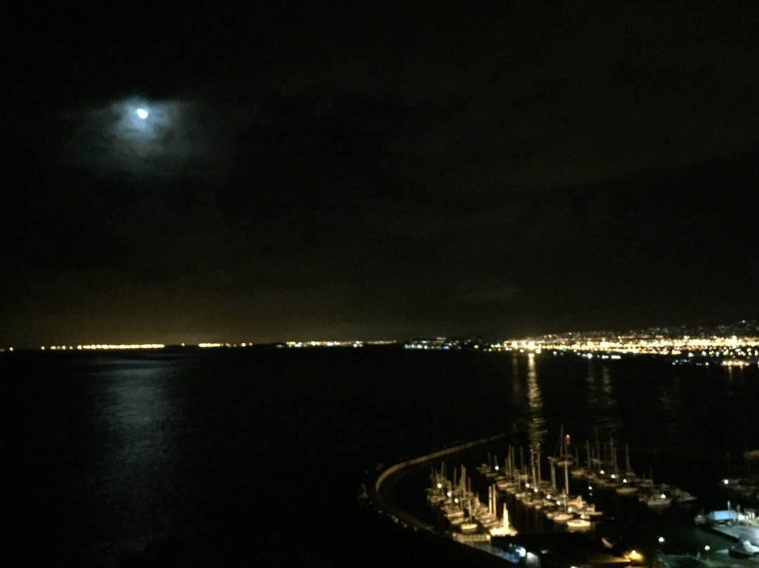 Celtic Manor Boutique Guest House主图