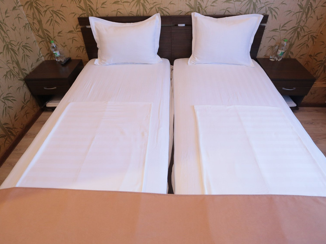 Dvorets Svadeb主图