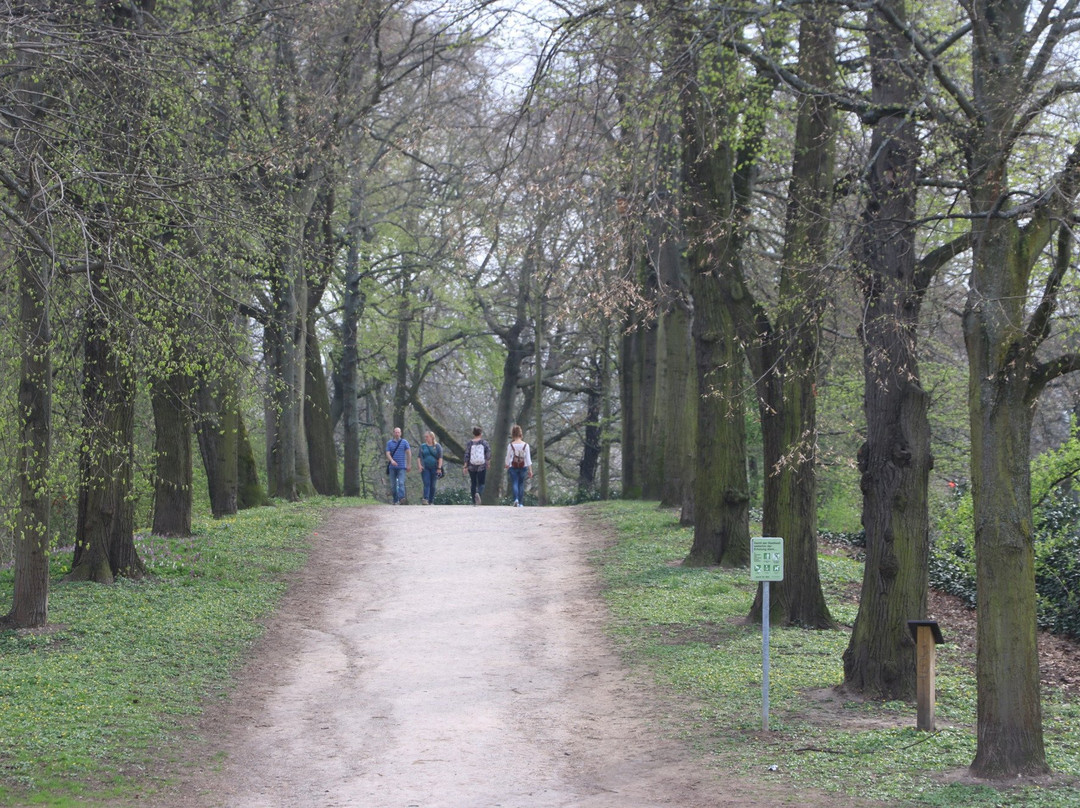 Goettingen City Wall景点图片