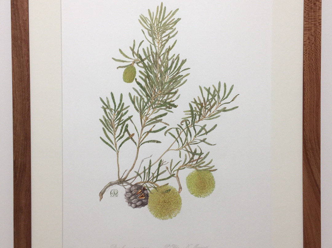 Hamilton Gallery-哈密尔顿必去景点