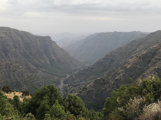 Dawoud Sulayman - Simien Mountains Tours