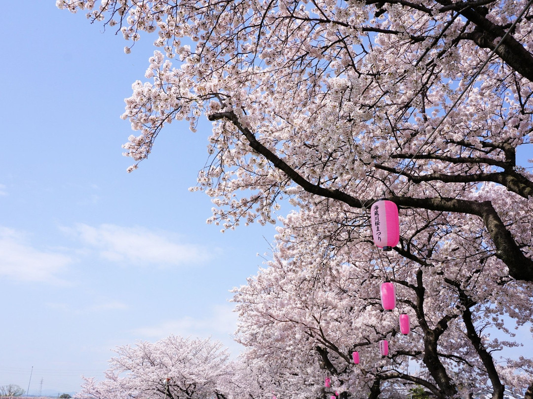 Kaizogawa Riverbank景点图片