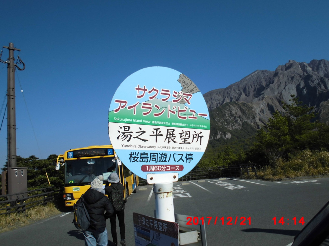 Sakurajima Island View景点图片