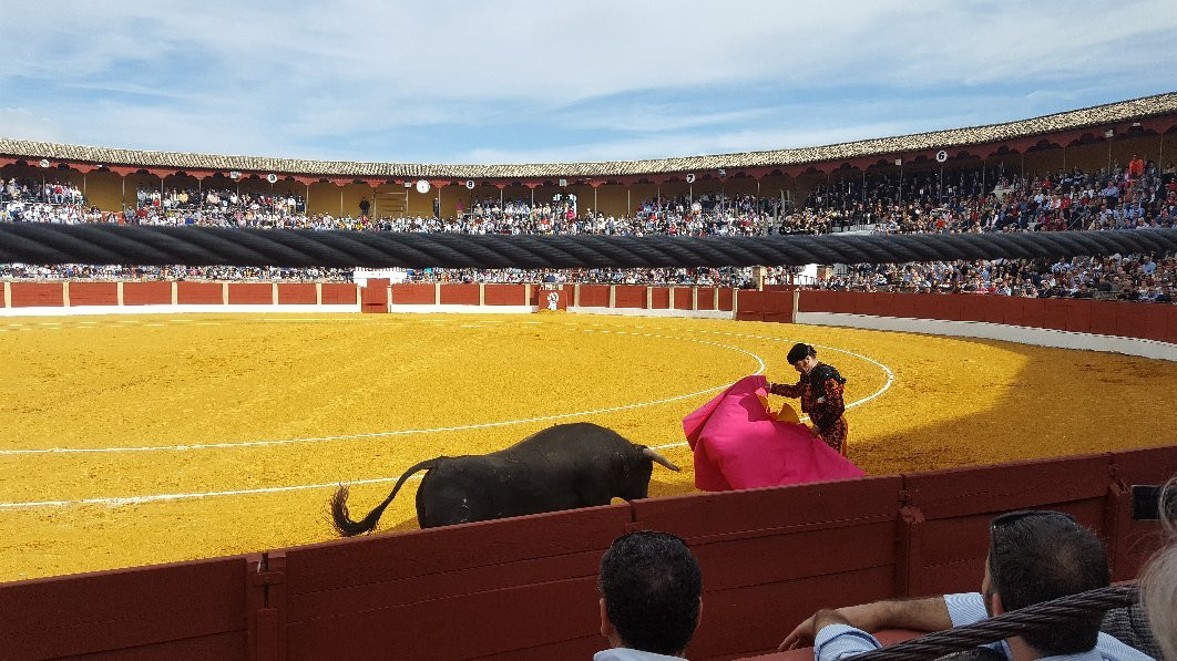 Plaza De Toros景点图片