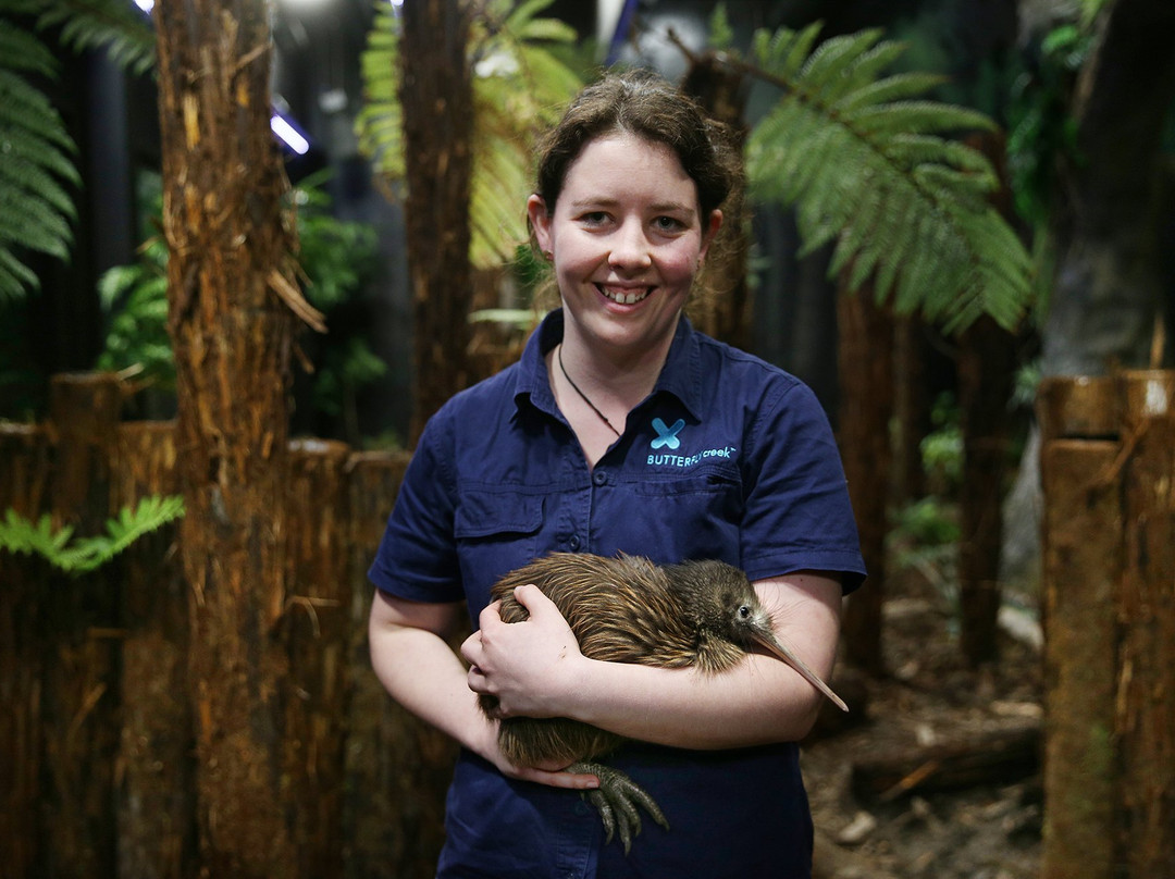 蝴蝶溪-奥克兰中心地区必去景点