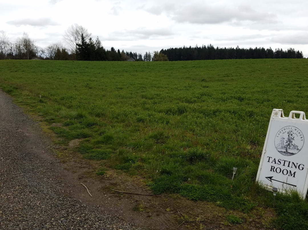 Lady Hill Winery-Saint Paul必去景点