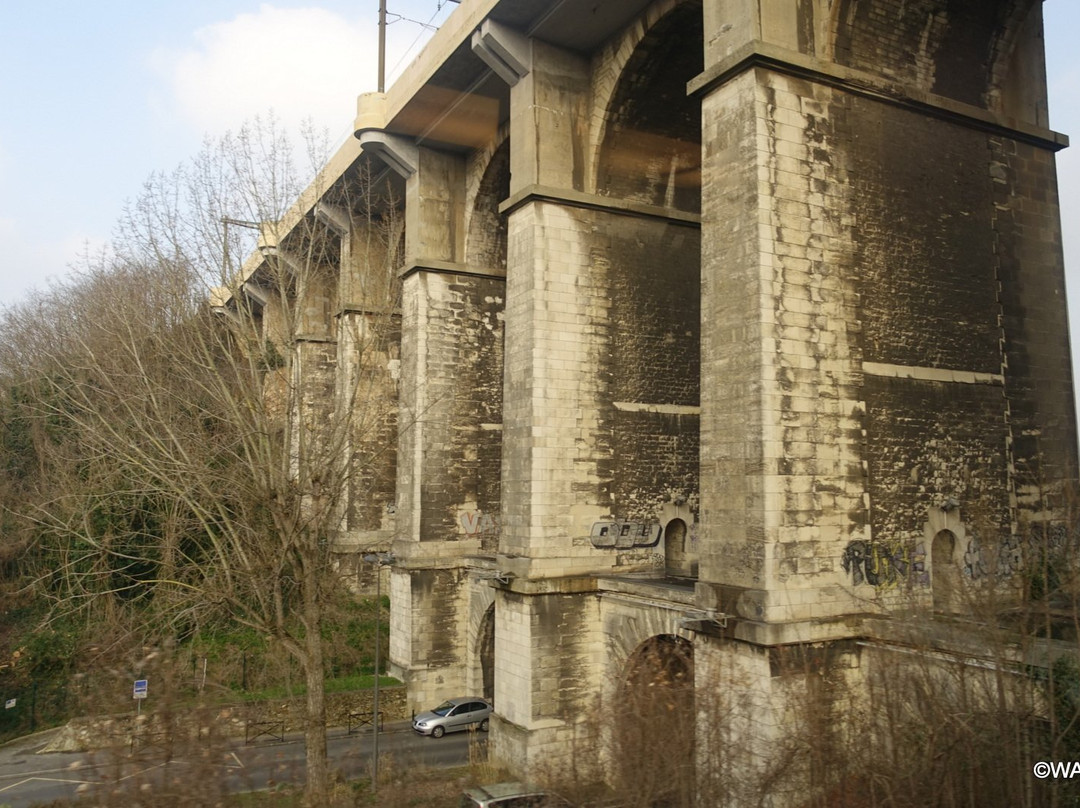 Viaduc de Meudon景点图片
