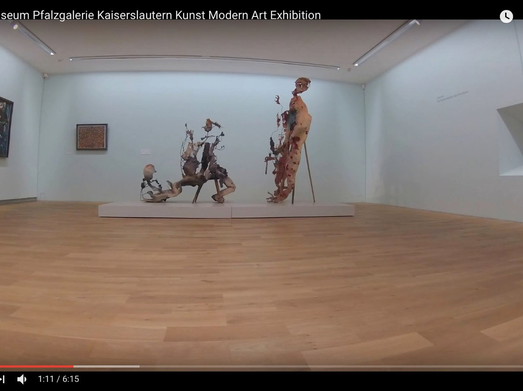 Museum Pfalzgalerie景点图片